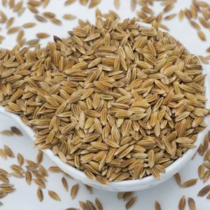 Kottara Samba Rice