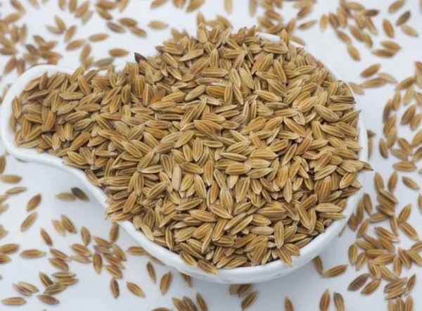 Kottara Samba Rice