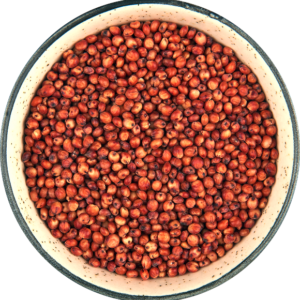 Red Sorghum