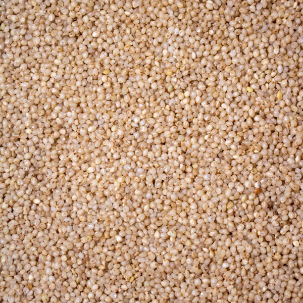 Little Millet