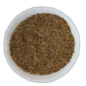 Country Pearl Millet