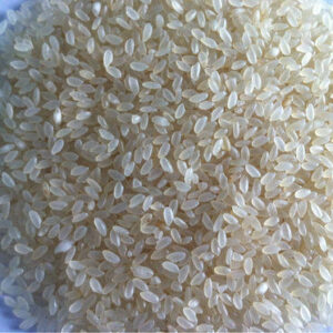 Jeeraga samba Rice