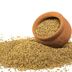 Kodo Millet