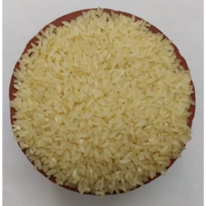 Sivan Samba Rice