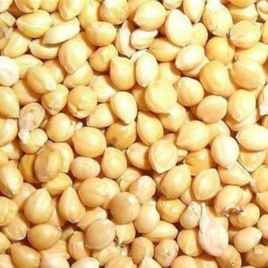 Proso Millet