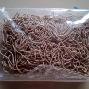 Round Noodles Ragi
