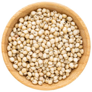 White Sorghum