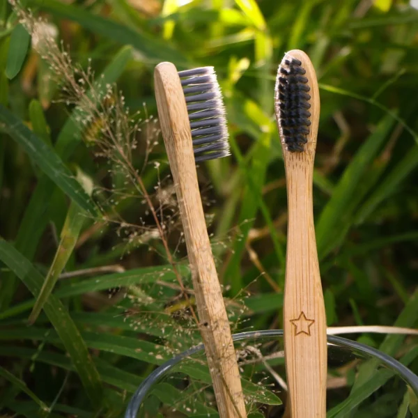 Bamboo Tooth Brush